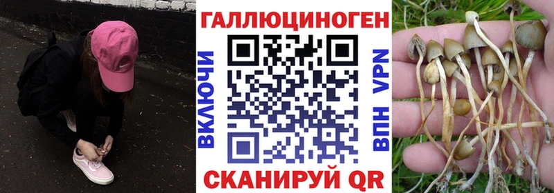 Галлюциногенные грибы ЛСД  KRAKEN зеркало  Кемерово 